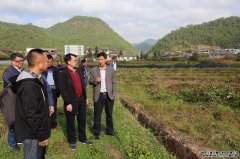 公司党委副书记杨登华到挂联扶贫点调研脱贫攻坚工作